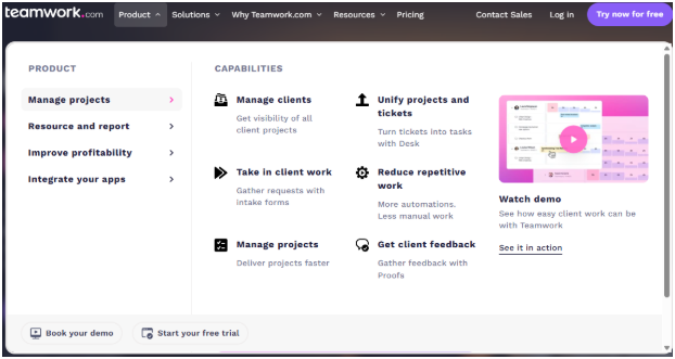What is Teamwork Software Used For?