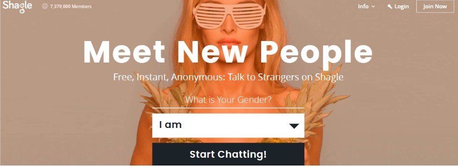 Shagle – Gender Filters & Fun Features