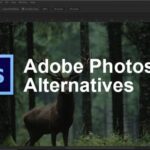 Top Photoshop Alternatives for Pro-Level Image Editing