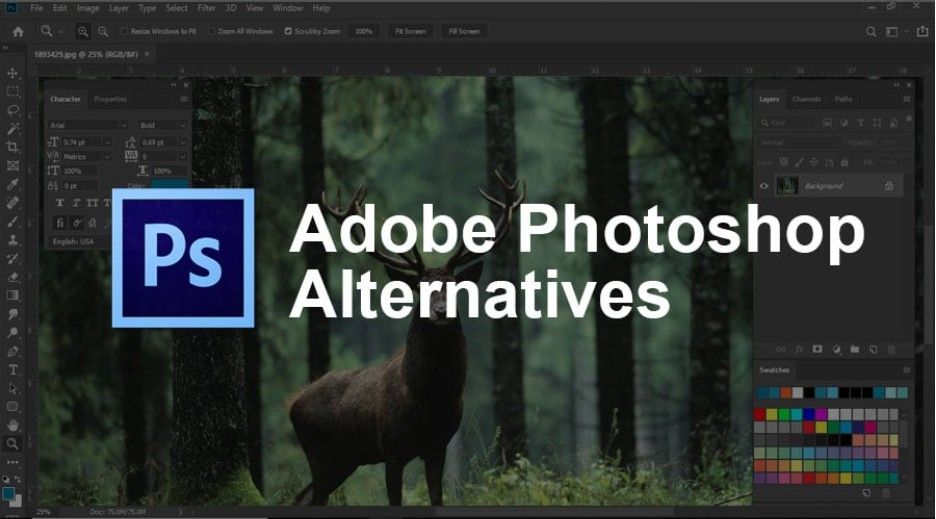 Top Photoshop Alternatives for Pro-Level Image Editing