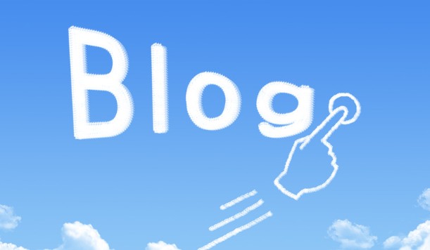 How the BlogsterNation Website Operates